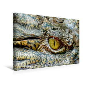 Premium Textil-Leinwand 45 cm x 30 cm quer Urzeitreptilien - Krokodil