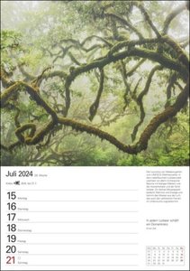 Bäume Wochenplaner 2024. Stimmungsvolle Baumfotos, Zitate und Kurztexte in einer Hommage an den Wald. Praktischer Wandplaner mit viel Raum für Notizen. Natur-Kalender 2024