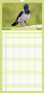 Familienplaner Rabenvögel: Schwarz, schlau, schön (Wandkalender 2023 , 21 cm x 45 cm, hoch)