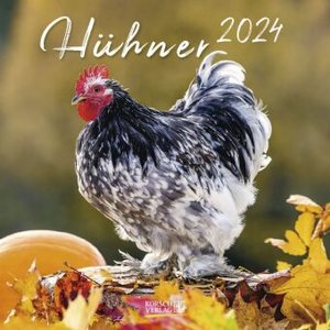 Hühner 2024