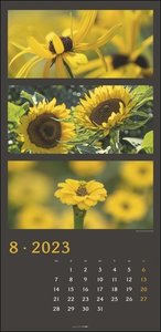 Die Farben der Natur Kalender 2023. Stilvoller Foto-Wandkalender XXL Natur-Kalender 2023 mit atemberaubenden farbigen Fotos. 33x68 cm.