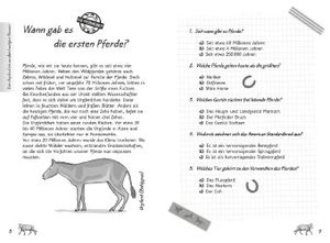 Mein Pferdequiz