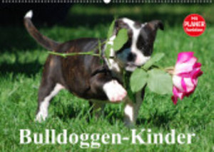 Bulldoggen-Kinder (Wandkalender 2023 DIN A2 quer)