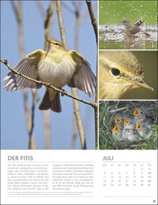 Vögel in unseren Gärten Posterkalender 2022