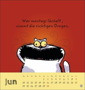 Catzz Postkartenkalender 2024. Humor-Kalender von Alexander Holzach. Kleiner Kalender mit witzigen Cartoon-Katzen. Kalender 2024 im Postkartenformat.