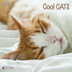 Cool Cats 2025