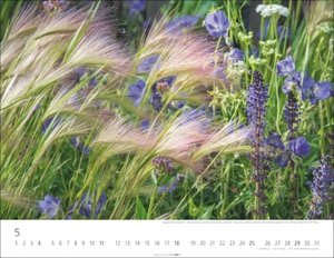 Gräser Kalender 2025