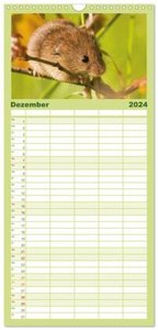 Familienplaner 2024 - Zauberhafte Mäuse: Von wegen nur Grau mit 5 Spalten (Wandkalender, 21 x 45 cm) CALVENDO