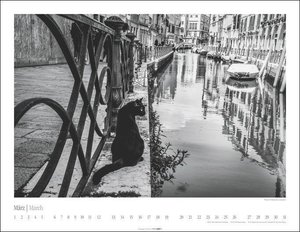 Venedig und die Katzen Kalender 2023