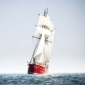 Sailing tall Boats 2025