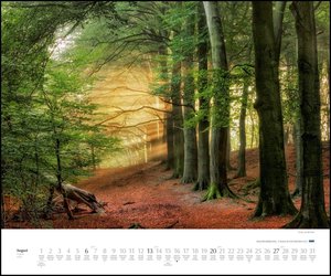 Waldspaziergang 2023 – Fotokunst-Kalender – Querformat 60 x 50 cm – Spiralbindung