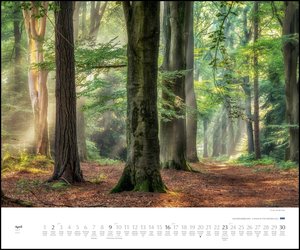 Waldspaziergang 2023 – Fotokunst-Kalender – Querformat 60 x 50 cm – Spiralbindung