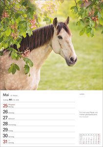 Pferde Wochenplaner 2026 - 53 faszinierende Fotografien
