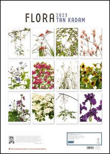 Flora 2023 – Blumen-Kalender von DUMONT– Foto-Kunst von Tan Kadam – Poster-Format 50 x 70 cm