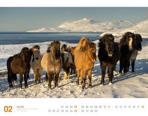 Island - Unterwegs zwischen Gletschern und Geysiren Kalender 2024