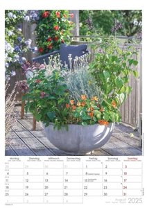 Traumgärten 2025 - Bildkalender A3 (29,7x42 cm) - Beautiful Gardens - mit Feiertagen (DE/AT/CH) und Platz für Notizen - Wandkalender - Gartenkalender