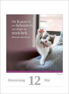 Eine Katze für jeden Tag 2023  - Tagesabreißkalender zum Aufstellen oder Aufhängen