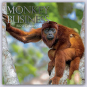 Monkey Business 2023 - 16-Monatskalender