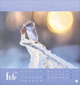 Vadim Trunov: Märchenhaftes Waldleben Postkartenkalender 2026