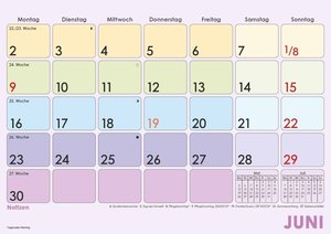Monatsterminkalender Farbenfroh 2025 29,7x21 1M/1S