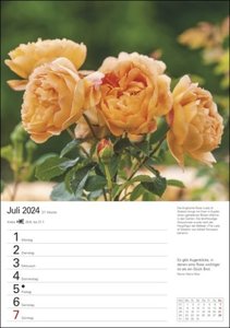 Gartenparadiese Wochenplaner 2024. Dekorativer Wandkalender zum Eintragen mit 53 romantischen Garten-Fotos und Zitaten. Termin-Kalender 2024 für die Wand. 25 x 35,5 cm