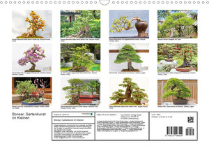 Bonsai: Gartenkunst im Kleinen (Wandkalender 2021 DIN A3 quer)