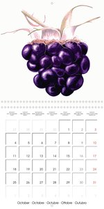 FRUITS SELECTED PAINTINGS BY YANNY PETTERS (Wall Calendar 2021 300 × 300 mm Square)