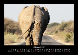 Der Elefantenkalender 2022 Fotokalender DIN A3