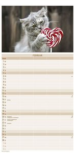 Katzen 2023 Familienplaner - Familien-Timer - Termin-Planer - Kinder-Kalender - Familien-Kalender - 22x45