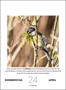 Vogelkalender 2025  - Tagesabreißkalender zum Aufstellen oder Aufhängen