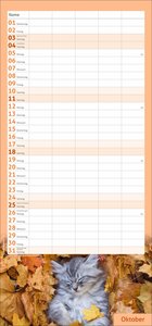 times&more Katzen Familienplaner 2026