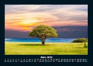 Blick in die Natur 2022 Fotokalender DIN A4