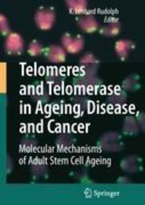 Telomeres and Telomerase in Aging, Disease, and Cancer