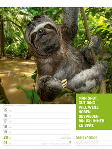 Tierisch! Sprüchekalender - Wochenplaner Kalender 2025
