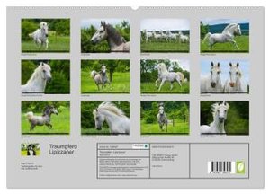 Traumpferd Lipizzaner (hochwertiger Premium Wandkalender 2024 DIN A2 quer), Kunstdruck in Hochglanz