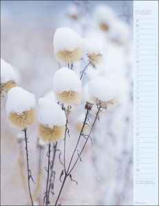 Von Blättern & Blüten Kalender 2022