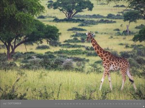 Afrika - Edition Alexander von Humboldt 2026