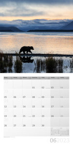 Bären Kalender 2023 - 30x30