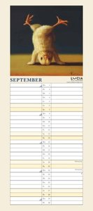 Lucia Heffernan: Yoga Chicks Planer 2025 – Wandkalender – Notiz-Kalender mit 2 Spalten – Format 22 x 49,5 cm