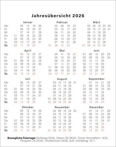 Simons Katze Tagesabreißkalender 2026