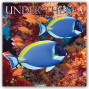 Unter the Sea - Tropische Fische 2022 - 16-Monatskalender