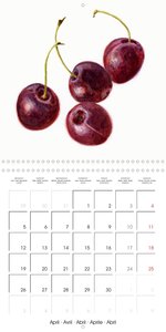 FRUITS SELECTED PAINTINGS BY YANNY PETTERS (Wall Calendar 2021 300 × 300 mm Square)