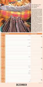 Kräuter & Gewürze 2024 - Streifenkalender 22x45 cm - mit Extraspalte für Geburtstage - Küchentipps und Mondphasen - Wandkalender - Terminplaner