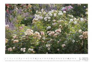 Rosengartenträume 2023 - Bildkalender 49,5x33 cm - hochwertiger Blumenkalender - Wandkalender - Wandplaner - Gartenkalender