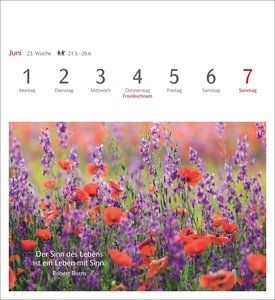 Momente des Glücks Postkartenkalender 2026 - Wochenkalender mit Zitaten, mit 53 Postkarten