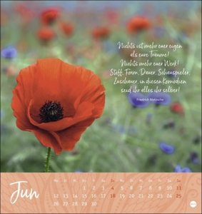 Zeit zum Träumen Postkartenkalender 2023. Fotokalender mit perforierten Postkarten voll schöner Motive und liebevoller Gedanken. Monats-Tischkalender zum Aufstellen und Aufhängen.16x17 cm