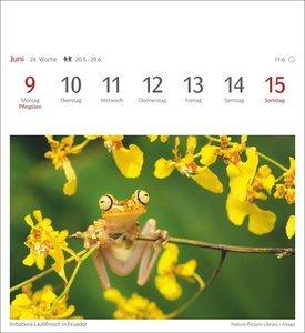 Farben der Natur Postkartenkalender 2025 - Wochenkalender mit 53 Postkarten