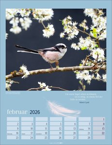 Heimische Vögel Kalender 2026