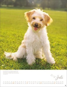 Hundekinder Posterkalender 2025