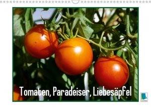 Tomaten, Paradeiser, Liebesäpfel